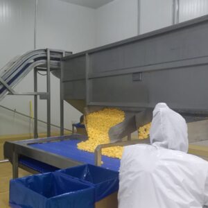 WhatsApp Image 2024-10-16 at 6.19.14 AM